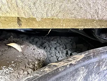 Crawlspace no access